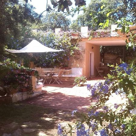 B&B Le Corti Di Aloa San Pantaleo Exterior photo