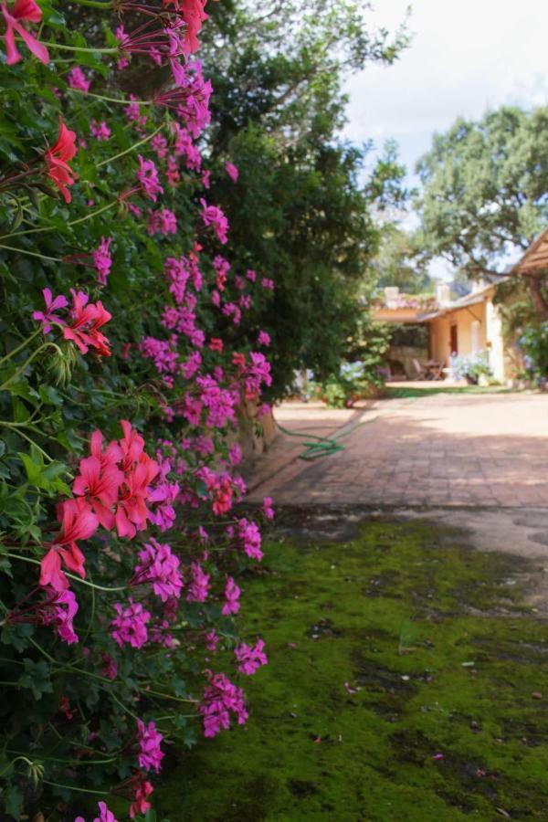 B&B Le Corti Di Aloa San Pantaleo Exterior photo