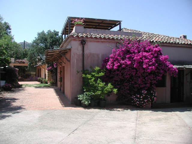 B&B Le Corti Di Aloa San Pantaleo Exterior photo