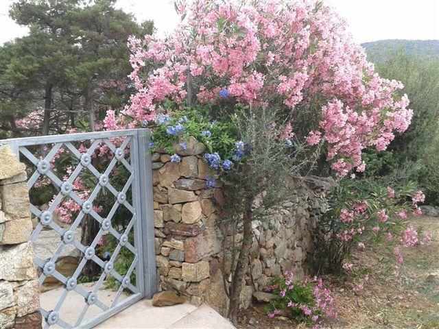 B&B Le Corti Di Aloa San Pantaleo Exterior photo